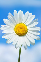 Similar image 5768232