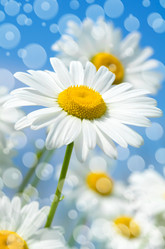 Similar image 5768233