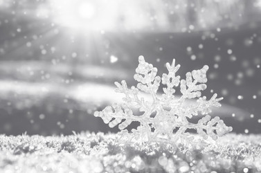 Similar image 5768281