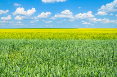 Similar image 5768286