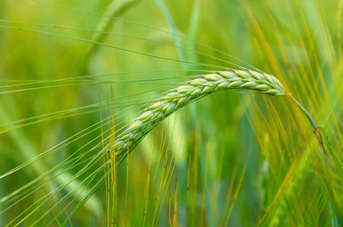 Similar image 5768287