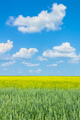 Similar image 5768288