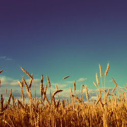 Similar image 5768295