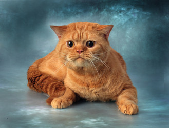 Similar image 5768348