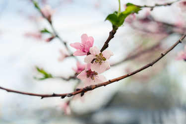 Similar image 5768472