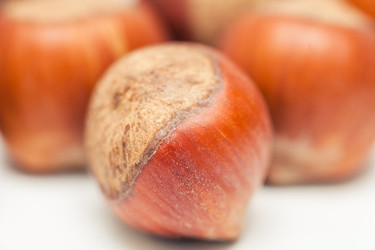 Similar image 5768488