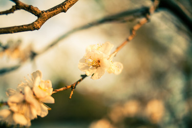 Similar image 5768492