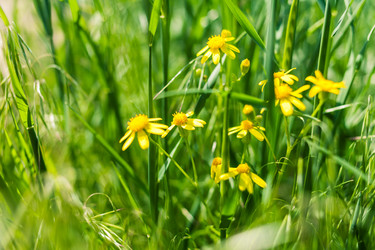 Similar image 5768504