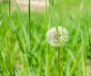 Similar image 5768505