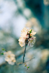 Similar image 5768510