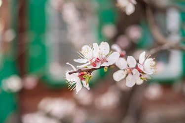 Similar image 5768511