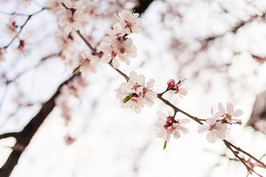 Similar image 5768512