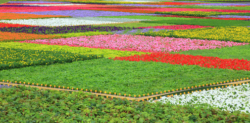 Similar image 5768533