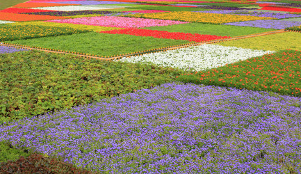 Similar image 5768535