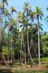 Similar image 5768577