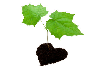 Similar image 5769132