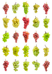 Similar image 5769140