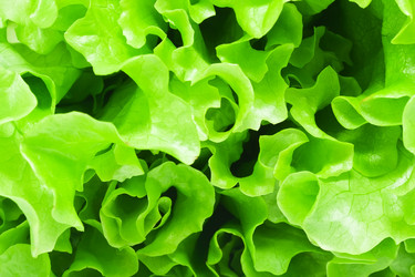 Similar image 5769144