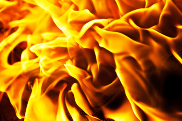 Similar image 5769160