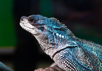 Similar image 5769171