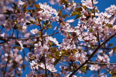 Similar image 5769174