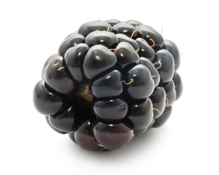 Similar image 5769175