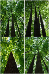 Similar image 5769218