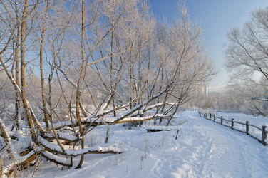 Similar image 5769274