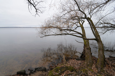 Similar image 5769282