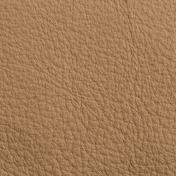 Similar image 5769413