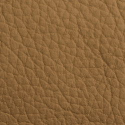 Similar image 5769497