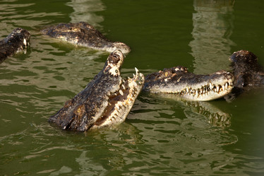 Similar image 5769520