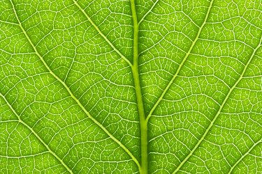 Similar image 5769690