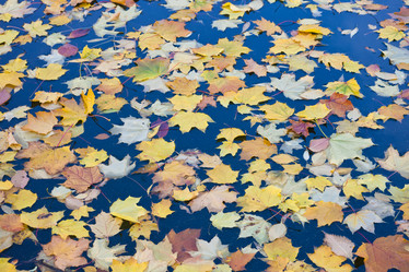 Similar image 5769706