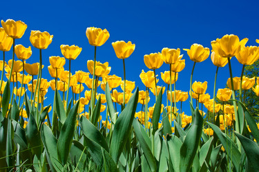 Similar image 5769758