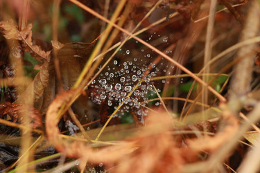 Similar image 5769934