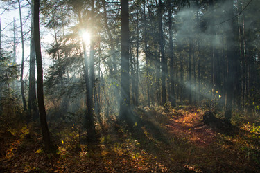 Similar image 5769935