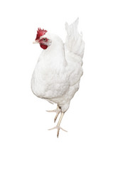 Similar image 5770035