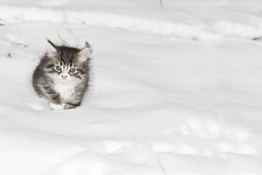 Similar image 5770036