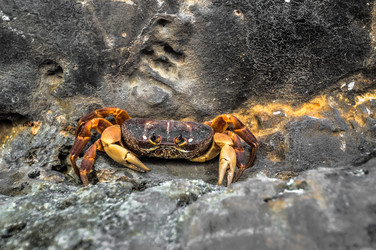 Similar image 5770165