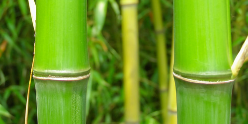 Similar image 5770370