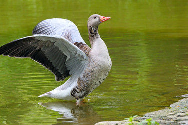 Similar image 5770379