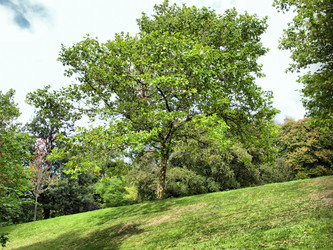 Similar image 5770399