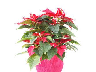 Similar image 5770502