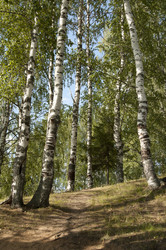 Similar image 5772222