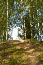 Similar image 5772226