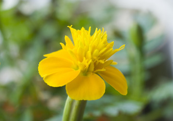 Similar image 5772235