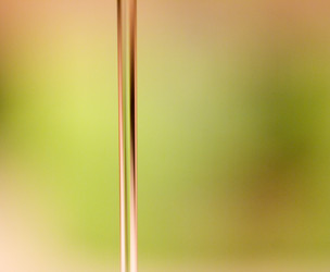 Similar image 5772236