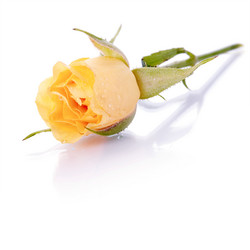 Similar image 5772402