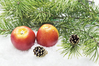 Similar image 5772500